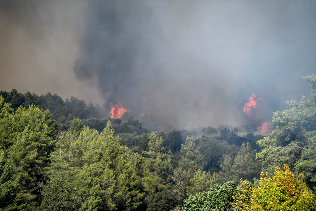 Φωτιά στην Αλίαρτο: Υπό μερικό έλεγχο το πύρινο μέτωπο