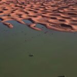 Σαχάρα: Οι σπάνιες πλημμύρες επανέφεραν τη ζωή στο Μαρόκο