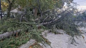 Καισαριανή: Έπεσε δέντρο στη Φορμίωνος – Διακόπηκε η κυκλοφορία