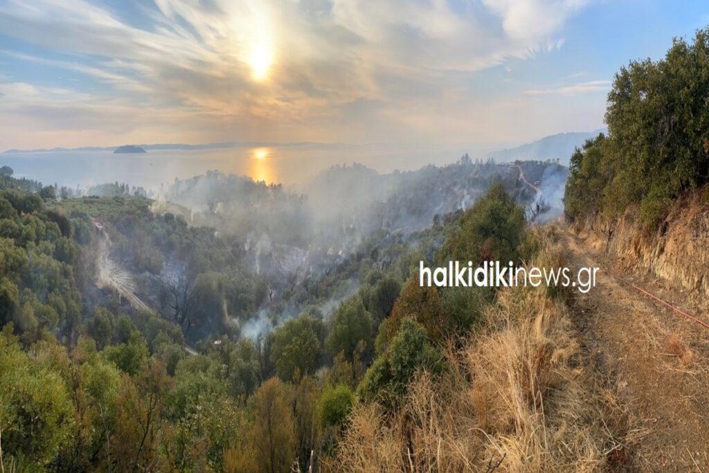Χαλκιδική: Ενισχύθηκαν οι δυνάμεις πυρόσβεσης στον Νέο Μαρμαρά [βίντεο]