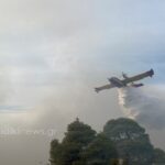 Φωτιά τώρα στην Τανάγρα – Επιχειρούν και εναέρια μέσα