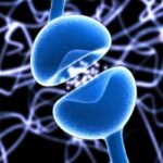 Ελπιδοφόρο φάρμακο για την πολλαπλή σκλήρυνση από ομογενή επιστήμονα