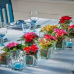 Αλεξανδρινό: Ο πρωταγωνιστής της χριστουγεννιάτικης διακόσμησης – Πώς να στολίσετε το σπίτι σας εύκολα και φτηνά