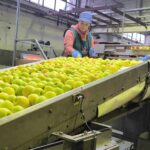 Συνεταιρισμός Zagorin: Επενδύει στο μέλλον και προστατεύει το περιβάλλον