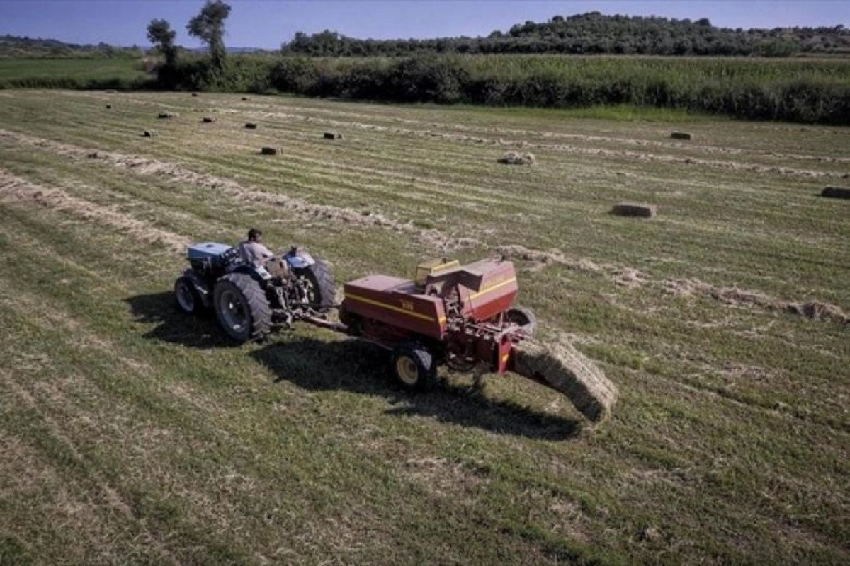 Ενισχύσεις 300 δισ. ευρώ από την Ευρώπη για τους αγρότες