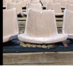 Φιλοπάππου: Βρήκαν βόα σφιγκτήρα κάτω από ένα κάθισμα σε θέατρο