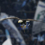 Ο διάσημος αετός της Λάτσιο δεν θα ξαναπετάξει για τους «λατσιάλι»