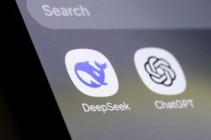 DeepSeek