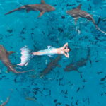 Η Θεσσαλονικιά «γοργόνα» που κολύμπησε με καρχαρίες και σαλάχια στις Μαλδίβες