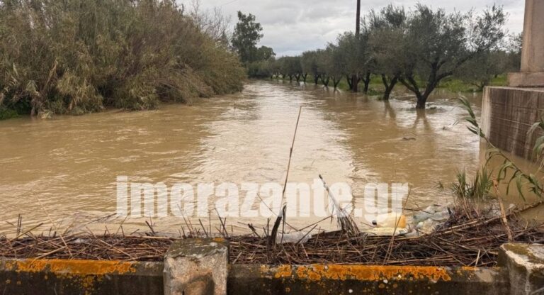 Ζάκυνθος: Προβλήματα προκάλεσε το κύμα κακοκαιρίας – Πλημμύρισε η Δημόσια Ιστορική Βιβλιοθήκη [εικόνες]