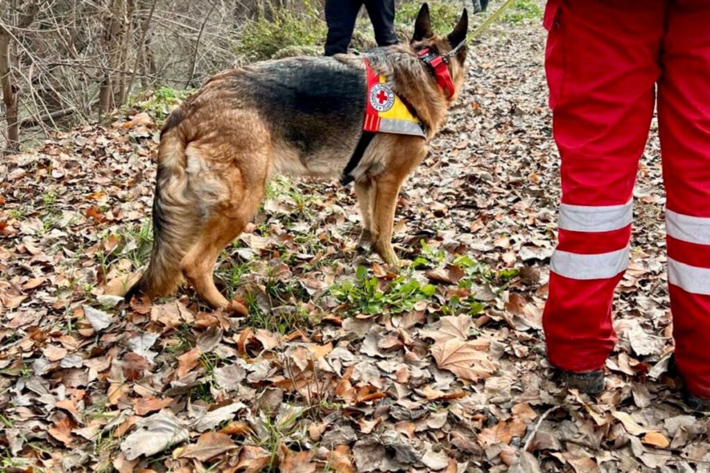 Τσούκαλης για την εξαφάνιση του 39χρονου στη Λάρισα: Είναι η πιο μυστηριώδης εξαφάνιση – Δεν έ