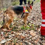 Τσούκαλης για την εξαφάνιση του 39χρονου στη Λάρισα: Είναι η πιο μυστηριώδης εξαφάνιση – Δεν έχω ξανασυναντήσει κάτι τέτοιο [βίντεο]