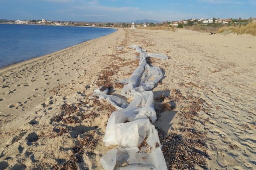 Χαλκιδική: Μεγάλη ρύπανση σε παραλία – Εκατοντάδες μέτρα νάιλον στην ακτή [εικόνες]