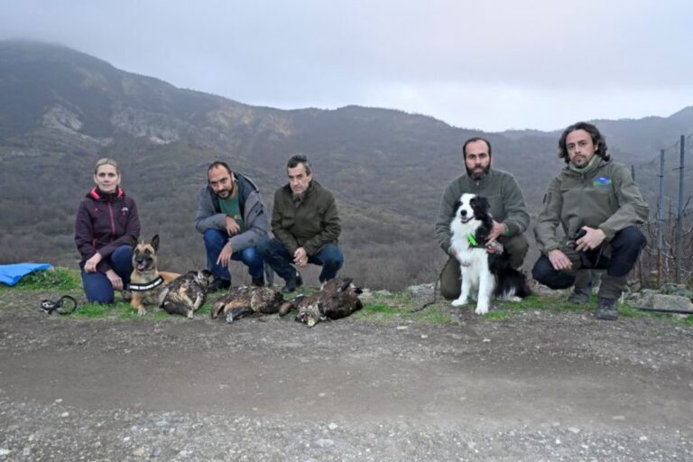 Ξάνθη: Εντοπίστηκε νεκρή οικογένεια τριών Χρυσαετών