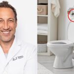 Πόσο βλαβερό είναι το χαρτί υγείας: Γιατρός προειδοποιεί και για τα υγρά μαντηλάκια