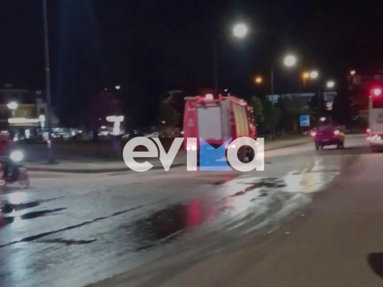 Εύβοια: Φωτιά άρπαξε αυτοκίνητο εν κινήσει στην Χαλκίδα [εικόνες]