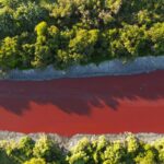 Αργεντινή: Απόκοσμο θέαμα – Ποτάμι έγινε κόκκινο σαν αίμα – Ανησυχία από τους κατοίκους