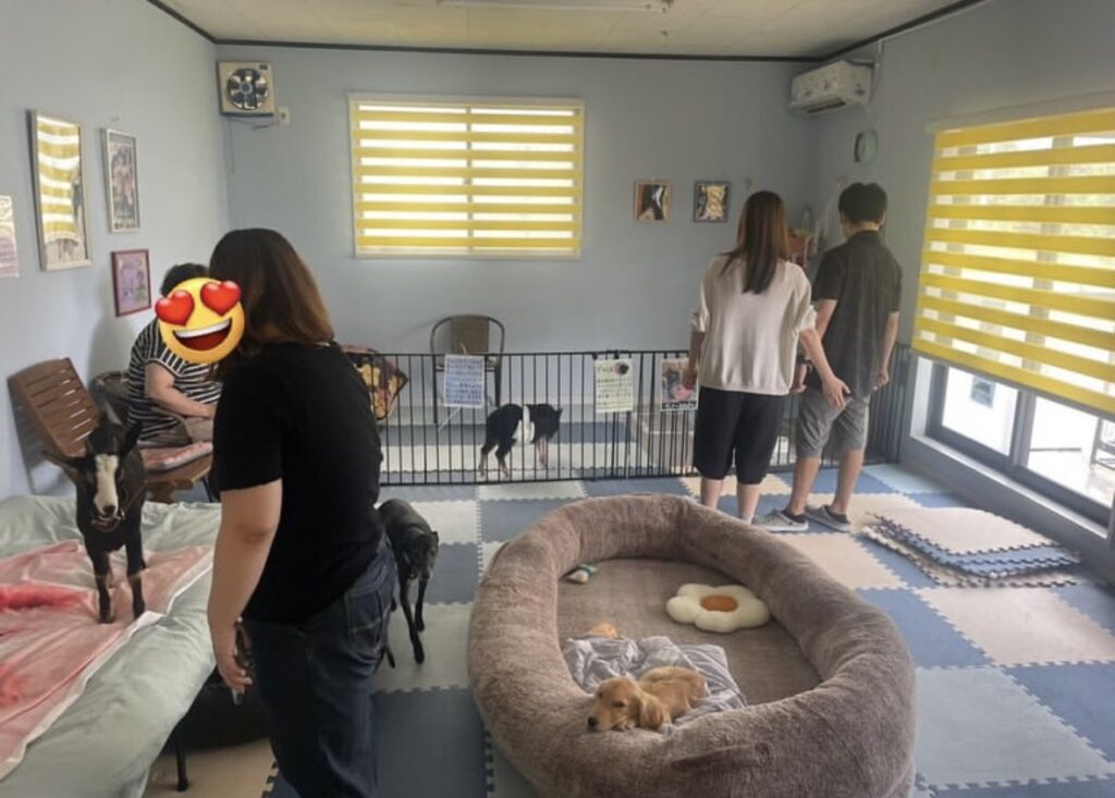 Ζωολογικός κήπος απαγορεύει την είσοδο σε ασυνόδευτους άντρες γιατί… παρενοχλούν – «Δεν 