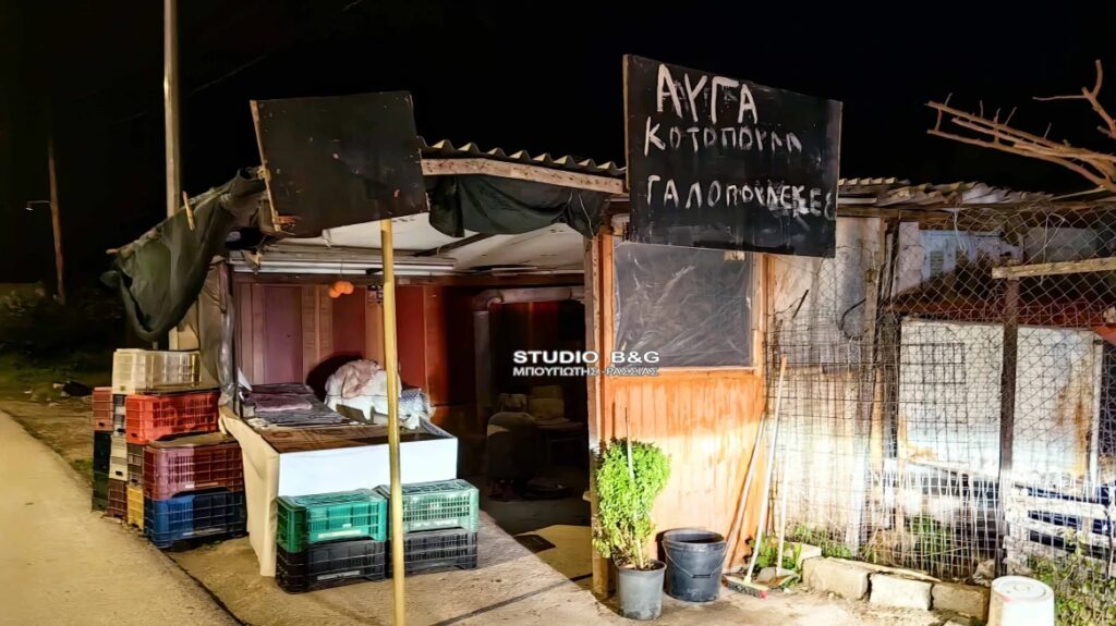 Ναύπλιο: Συγκλονίζει  η ηλικιωμένη που σκότωσε τον 50χρονο που την λήστεψε [βίντεο]