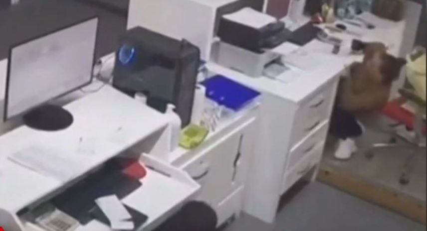 Βίντεο ντοκουμέντο: Σοκάρουν τα ουρλιαχτά απο τις γυναίκες που προσπαθούν να προστατευτούν την ώρα του σεισμού στη Σαντορίνη [βίντεο]