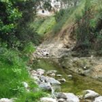 Δήμος Αγίου Δημητρίου: Σχέδιο Μαμαλάκη για την προστασία και την ανάδειξη του ρέματος Πικροδάφνης