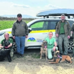 Δέλτα Έβρου: Μαζική δηλητηρίαση 48 ζώων