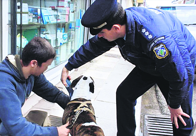 Επιασε δουλειά η αστυνομία ζώων