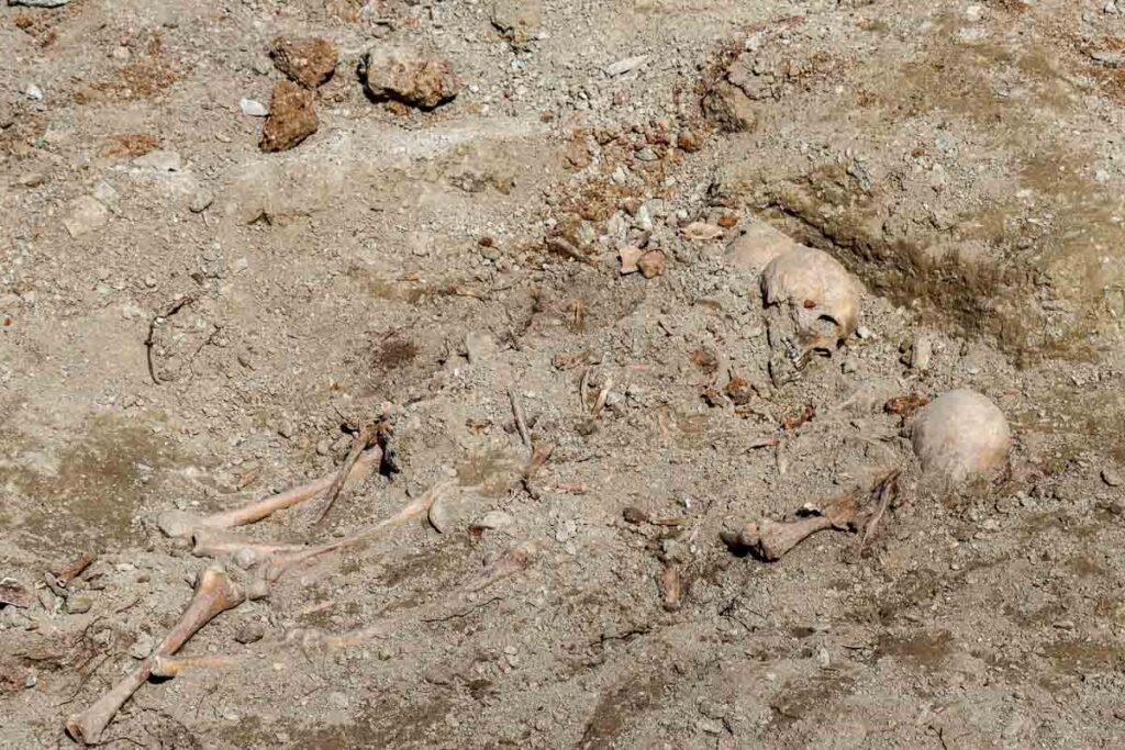 Θεσσαλονίκη: Εντοπίστηκαν στις Συκιές ομαδικοί τάφοι από τον εμφύλιο - Δείτε φωτογραφίες