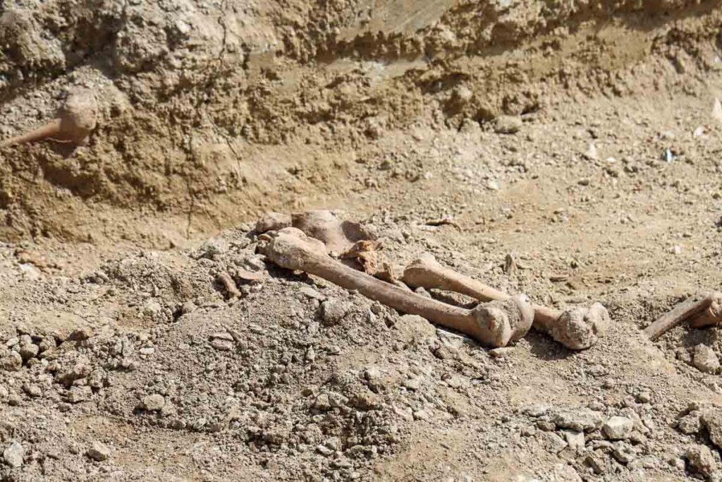 Θεσσαλονίκη: Εντοπίστηκαν στις Συκιές ομαδικοί τάφοι από τον εμφύλιο - Δείτε φωτογραφίες