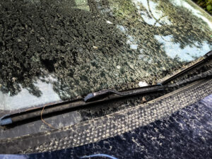 Πρόστιμο έως 400 ευρώ για άπλυτο αυτοκίνητο