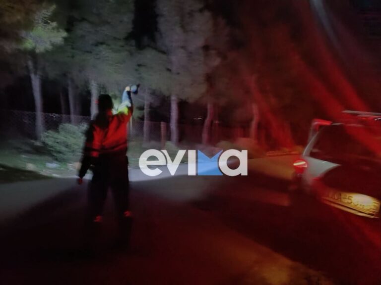 Εύβοια: Εντοπίστηκε βαριά τραυματισμένος ο 57χρονος μελισσοκόμος – Είχε ατύχημα με το μηχανάκι του