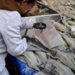 25η Μαρτίου: «Προσοχή στην αγορά μπακαλιάρου» συνιστά η ΕΕΚΕ – Πώς να τον ξεχωρίσετε από το λινγκ