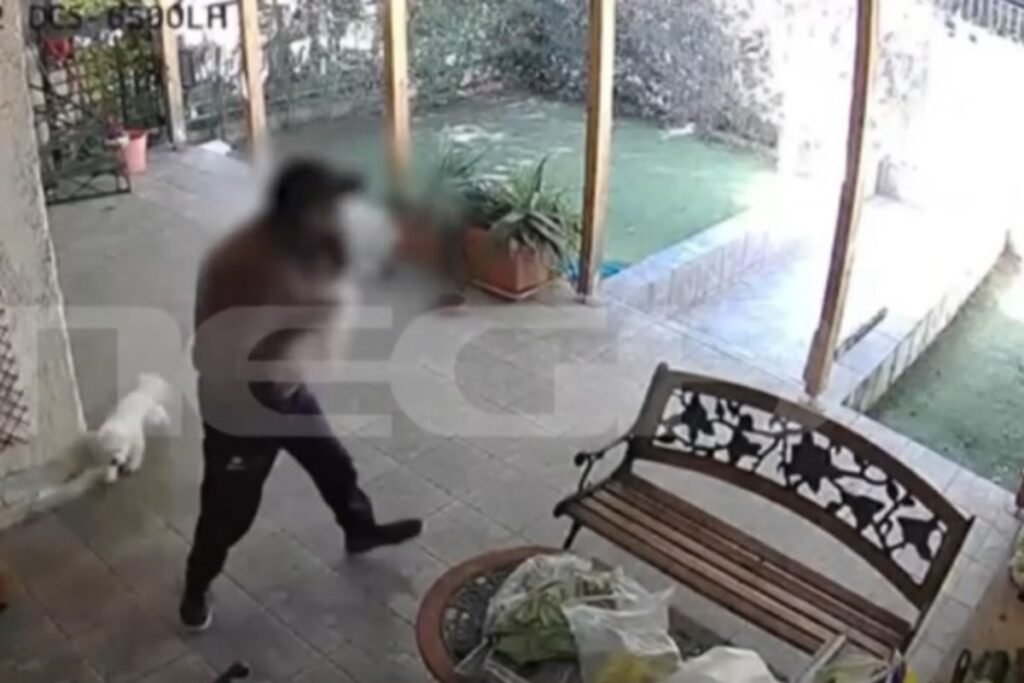 Αχαρνές: Βίντεο ντοκουμέντο από κλοπή σκύλου μέρα μεσημέρι