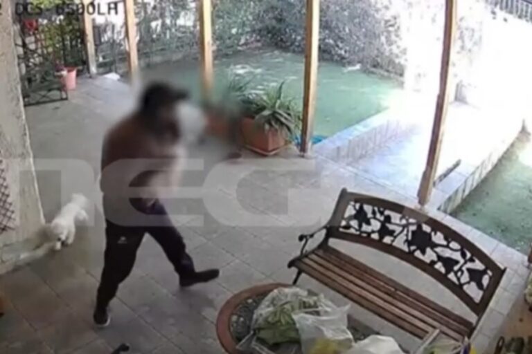 Αχαρνές: Βίντεο ντοκουμέντο από κλοπή σκύλου μέρα μεσημέρι 