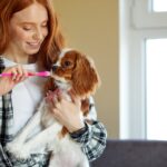 Η υγεία ξεκινά από το στόμα στα σκυλιά και τις γάτες