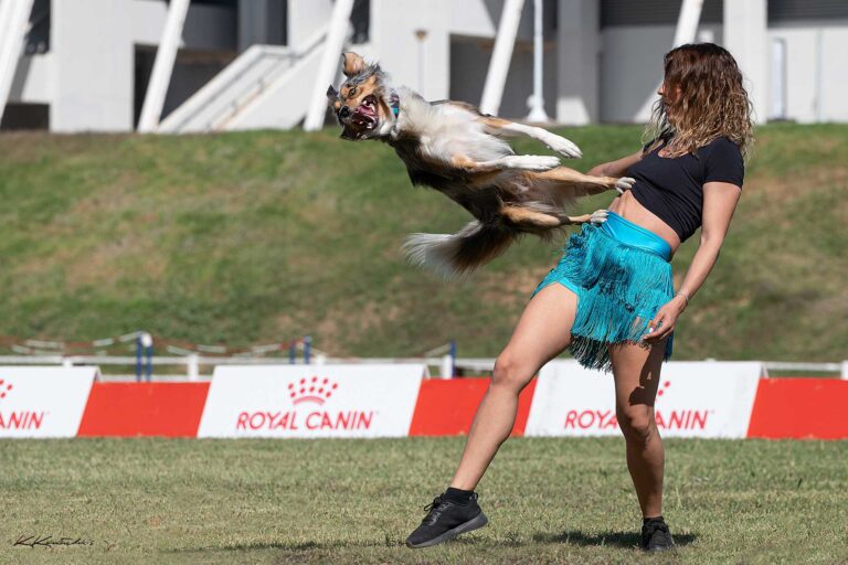 Στον κόσμο του dog dancing