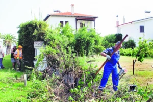 Ακαθάριστα οικόπεδα