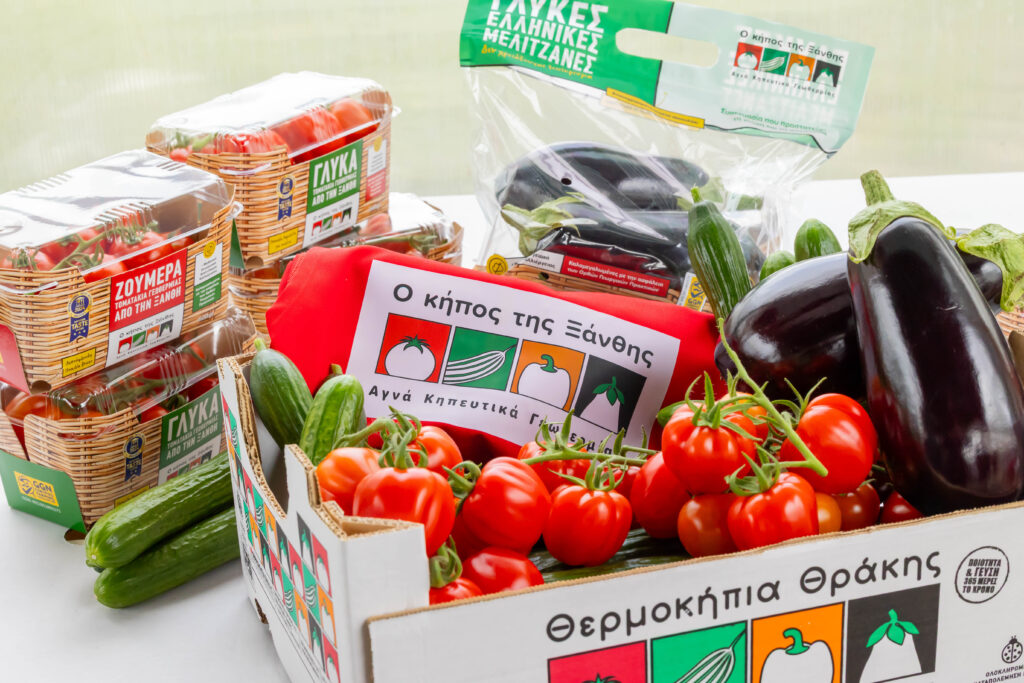 Θερμοκήπια Θράκης: Πώς αξιοποιούν την γεωθερμία και «φτιάχνουν την πέμπτη εποχή» - Τι λέει στο ET Magazine ο αντιπρόεδρος της εταιρείας