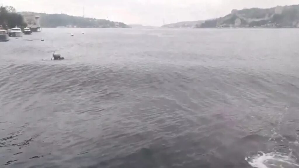 Σεισμός στην Κωνσταντινούπολη: Ξύπνησαν μνήμες από τις σεισμικές δονήσεις – «Φούσκωσε» ο Μαρμα