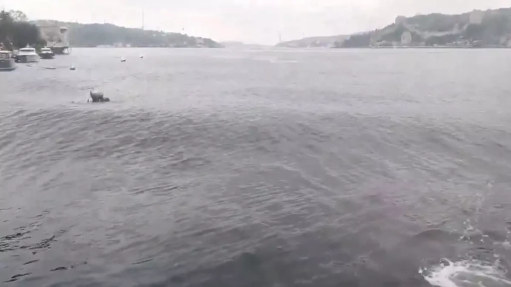 Σεισμός στην Κωνσταντινούπολη: Ξύπνησαν μνήμες από τις σεισμικές δονήσεις – «Φούσκωσε» ο Μαρμαράς – Πανικός στους πολίτες (βίντεο)