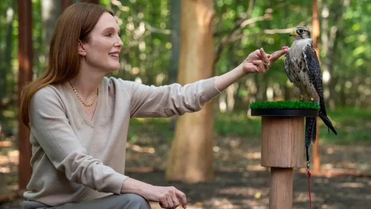 Sirens: Η γυναικεία, σκοτεινή σειρά του Netflix με πρωταγωνίστρια την Τζούλιαν Μουρ