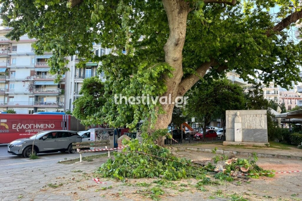 Θεσσαλονίκη: Έπεσε μεγάλο κλαδί δέντρου σε πλατεία στο κέντρο