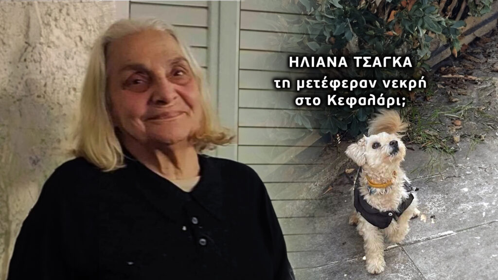 Φως στο Τούνελ: Σοκ για τη γιαγιά με το αγαπημένο της σκυλάκι – Συγκλονιστικές σκηνές στο σημε