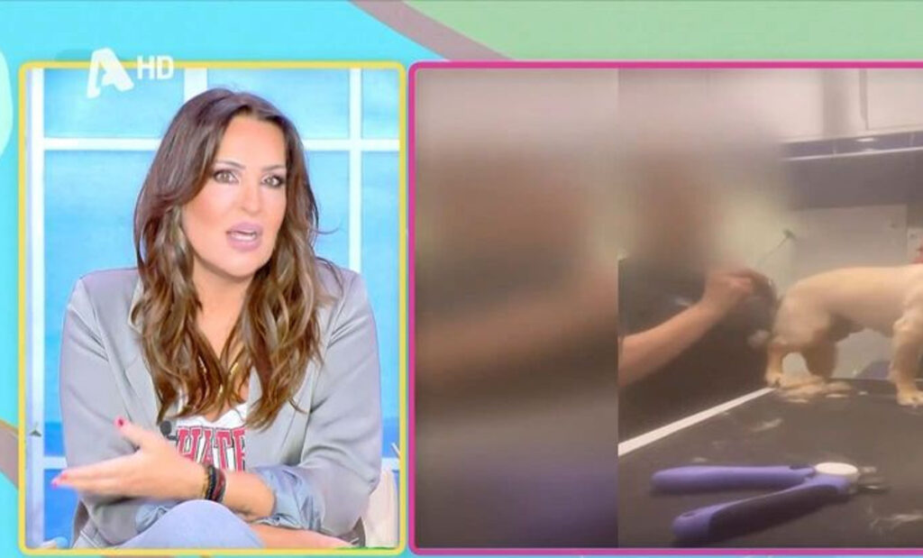 Εξοργισμένη η Ναταλία Γερμανού: «Να πάρουν ένα λούτρινο να του φέρονται όπως θέλουν, δεν αισθάνεται»