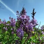 Καιρός: Ποια περιοχή «χτύπησε» 30άρι