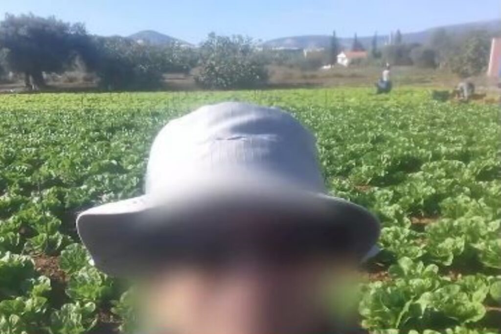 Κορωπί: Ψυχικά υγιής βρέθηκε ο 51χρονος με το κατσαβίδι – Τι λέει ο δικηγόρος του [βίντεο]