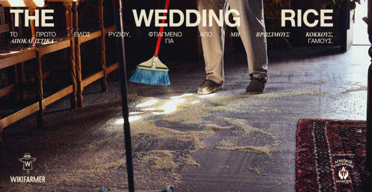The Wedding Rice: Ας μην πετάξουμε στο πάτωμα ρύζι που θα κατέληγε στο πιάτο