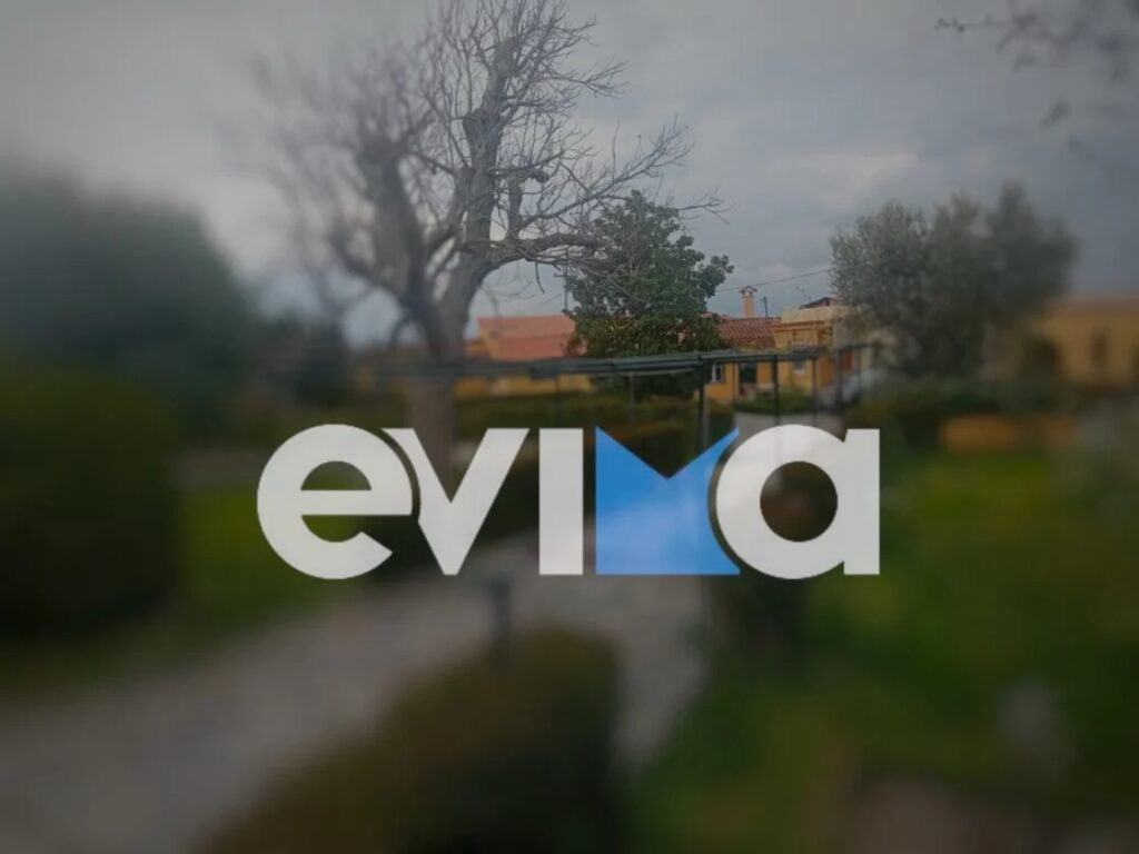 Πλειστηριασμός ανευθυνότητας