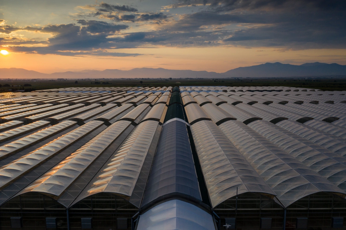 Θερμοκήπια Θράκης γεωθερμία