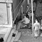 Εκρηξη βόμβας στη Θεσσαλονίκη: Ψάχνουν τους δύο καθοδηγητές και τον εντολέα